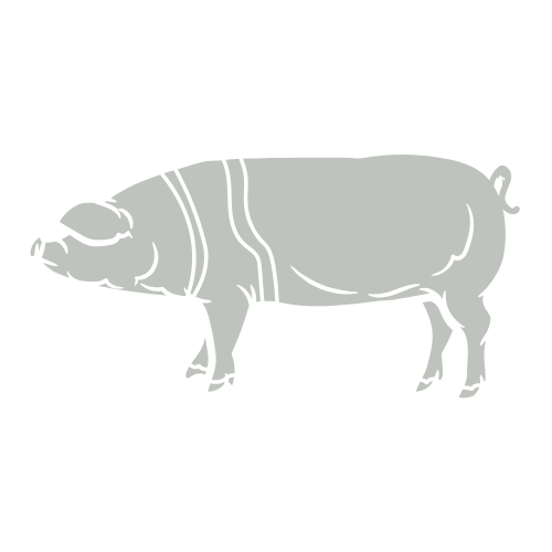 PigOutline