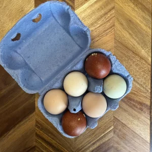Eggs