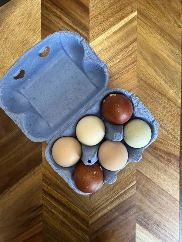 Eggs