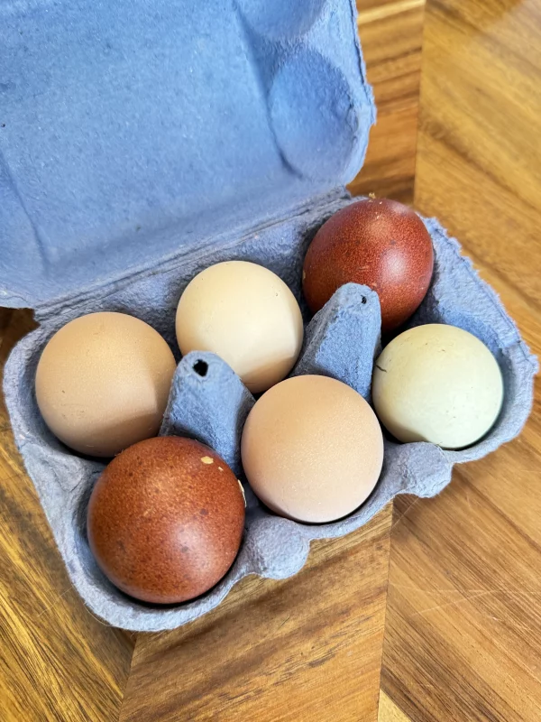 Eggs - Image 2